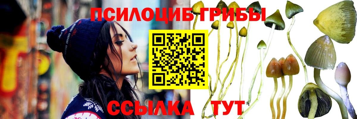 Галлюциногенные грибы мицелий  Псилоцибиновые грибы Psilocybe  Дедовск  Вход с VPN 